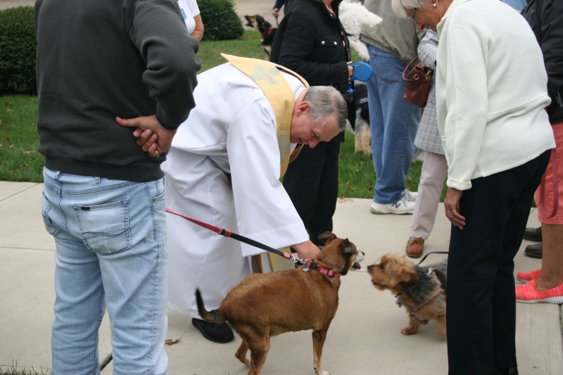 1_23_Blessing-of-the-Pets-St.-Lukes-R.C.C-10-06-2019-029